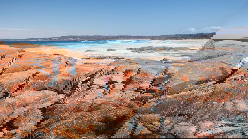 Highlights of Tasmania