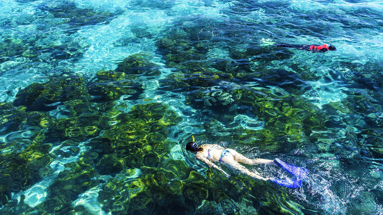 Sydney to Cairns Adventure