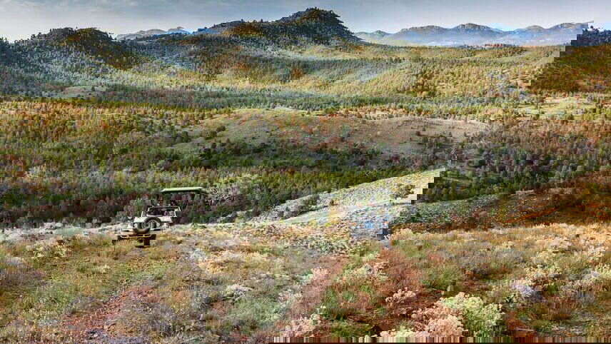 South Australia's Arkaba Walk (ex-Adelaide)