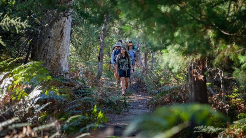 Tasmania's Freycinet Experience Walk