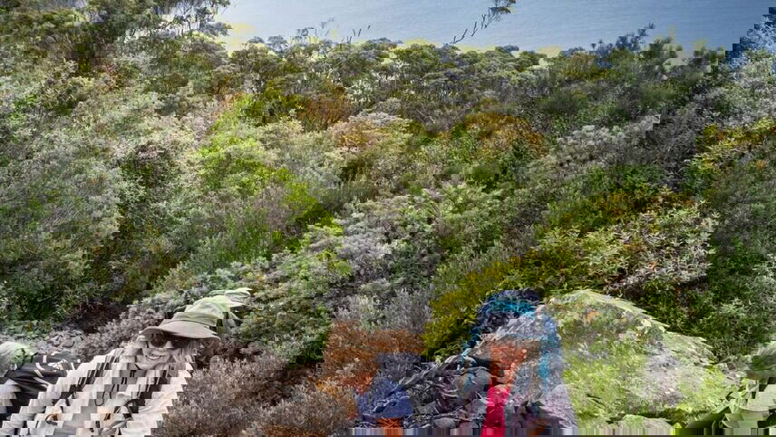 Tasmania's Maria Island Winter Escape