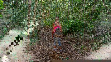 5 Day Best of Cairns, Great Barrier Reef & Daintree (Intrepid)