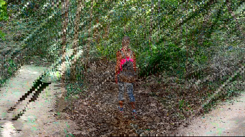 Best of Cairns, Great Barrier Reef & Daintree