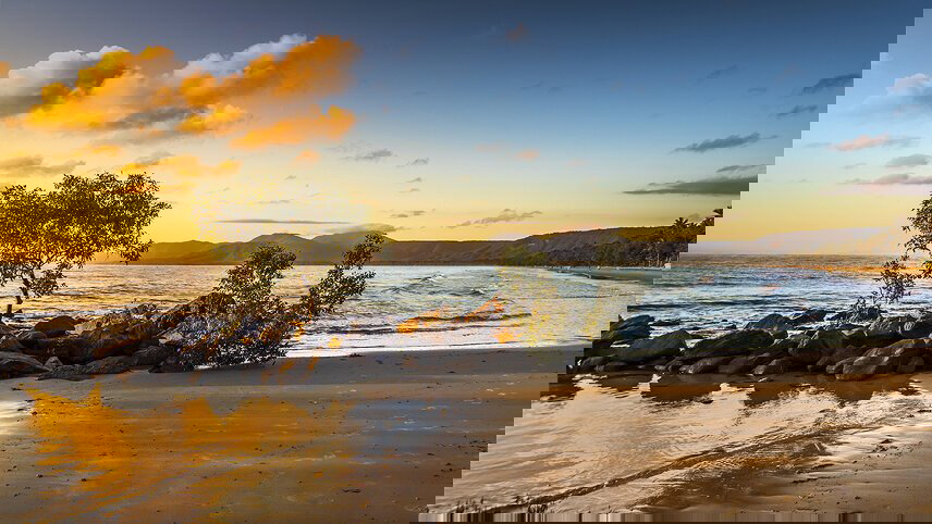 Best of Cairns, Great Barrier Reef & Daintree