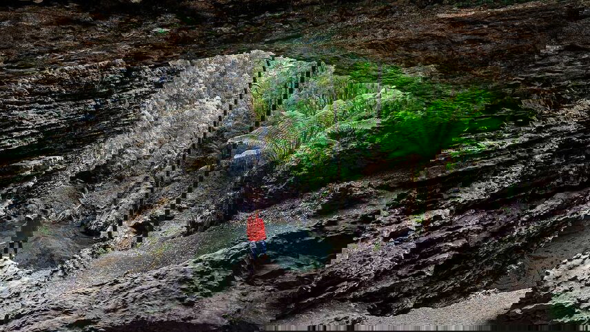 Best of Tasmania's Tarkine & Cradle Mountain