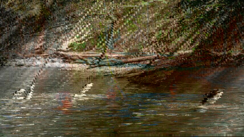 Cape York & Torres Strait Explorer