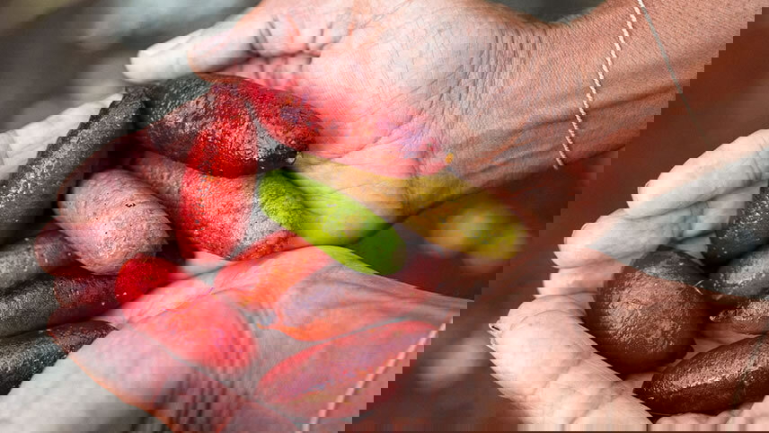 Sydney to Brisbane Adventure