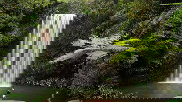 8 Day Brisbane to Cairns Adventure (Intrepid)