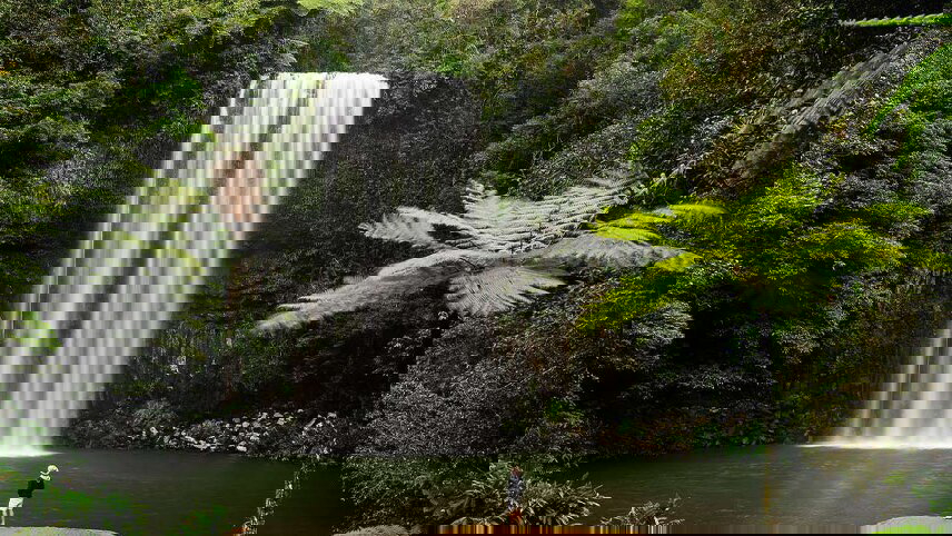 Brisbane to Cairns Adventure