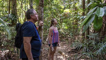 6 Day Daintree & Cape Tribulation Adventure (Intrepid)