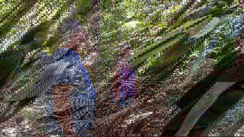 Daintree & Cape Tribulation Adventure