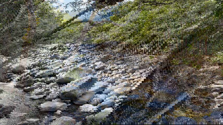 Daintree & Cape Tribulation Adventure