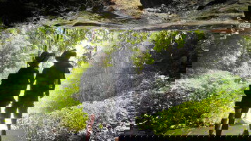 20 Day Melbourne to Cairns Adventure (Intrepid)