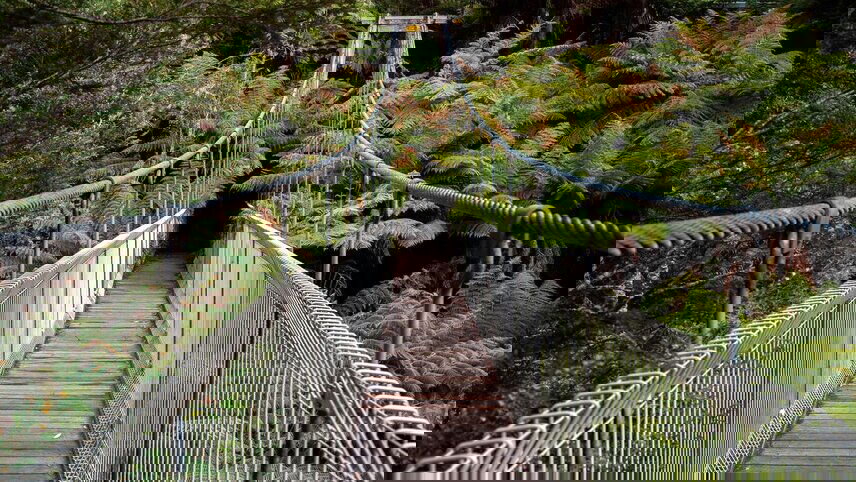 Melbourne to Sydney Adventure