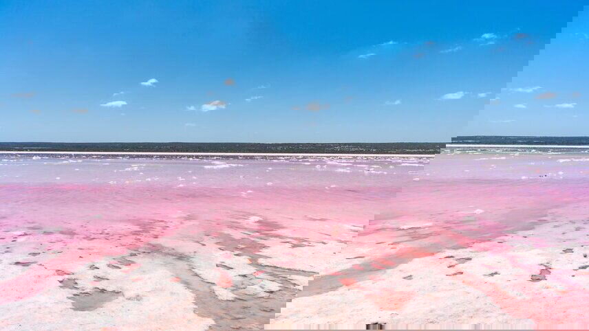 West Coast Adventure (Northbound)