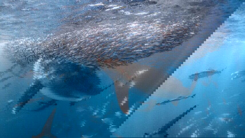 West Coast Adventure (Northbound)