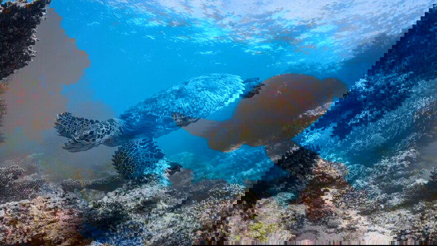 West Coast Adventure (Southbound)