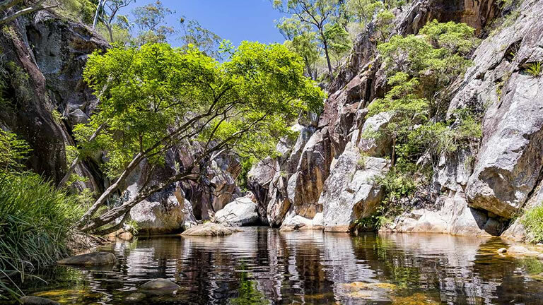 Walk Queensland's Scenic Rim