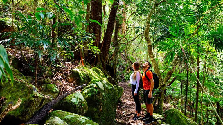 Walk Queensland's Scenic Rim