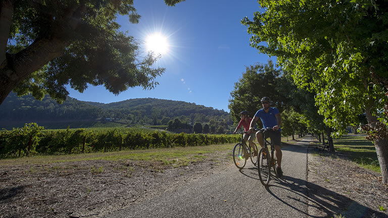 Cycle South Australia's Wine Regions