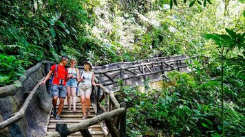 4 Day Costa Rica Short Break: La Fortuna (Intrepid)