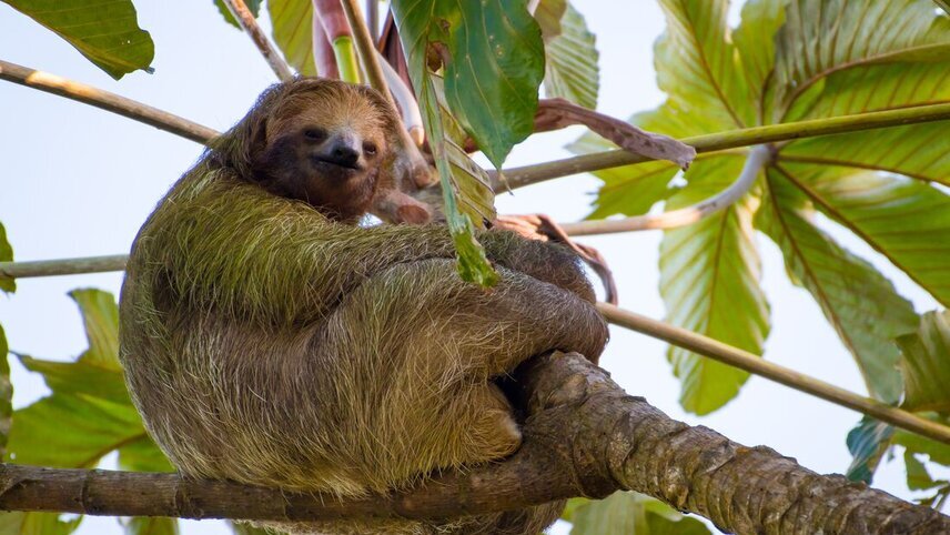 Costa Rica Short Break: La Fortuna