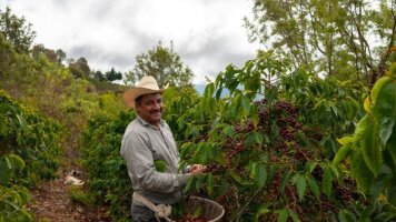 15 Day Guatemala & Beyond (Intrepid)