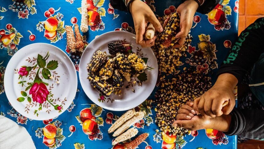 Hiking in Mexico: Oaxaca’s Indigenous Highlands