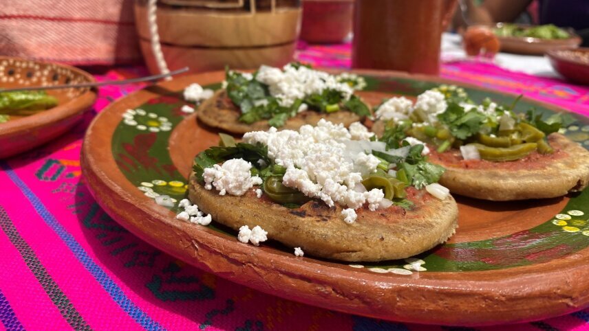 Mexico City to Oaxaca with Zapotec Village Hiking