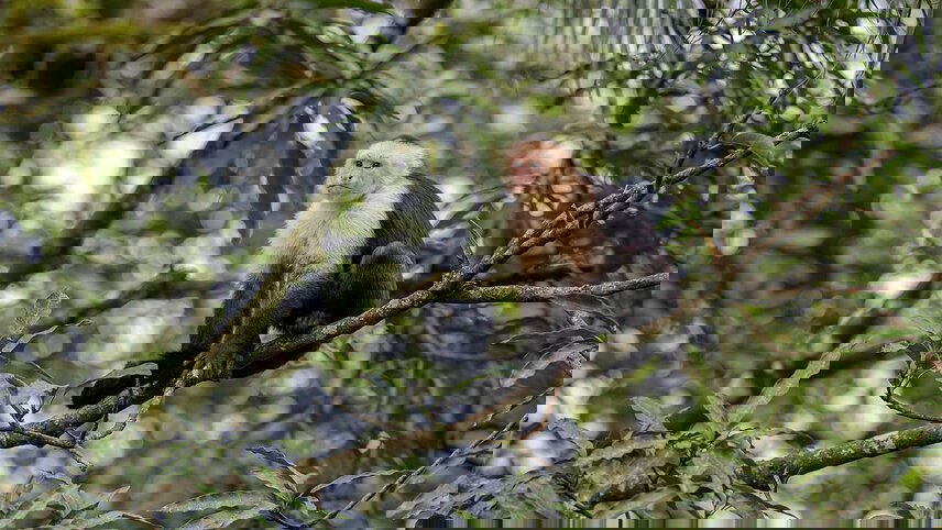 One Week In Costa Rica