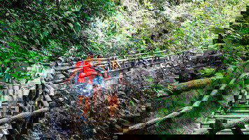 14 Day Best of Costa Rica Family Holiday (Intrepid)