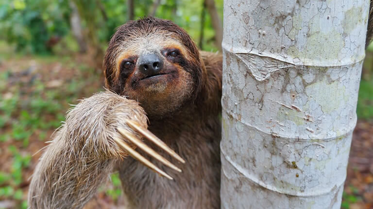 Costa Rica Family Holiday