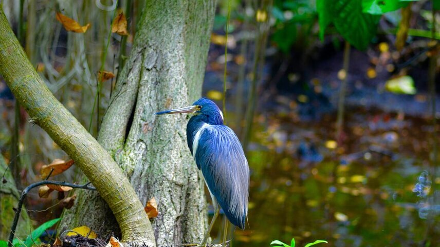 Tulum to Chichen Itza Short Break