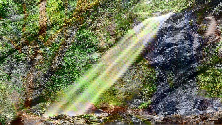 Costa Rica & Panama Discovery