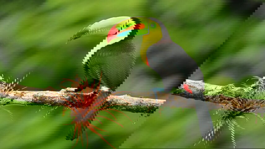 Central American Journey