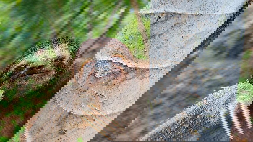 Costa Rica: Hike, Bike & Raft