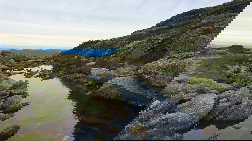 Hike New Hampshire's Appalachian Trail and Presidential Peaks