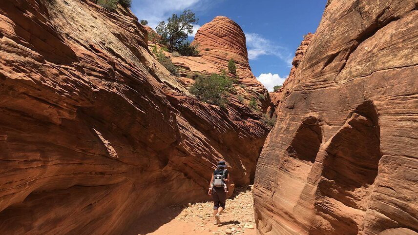 Hiking and Backpacking Utah's Coyote Gulch