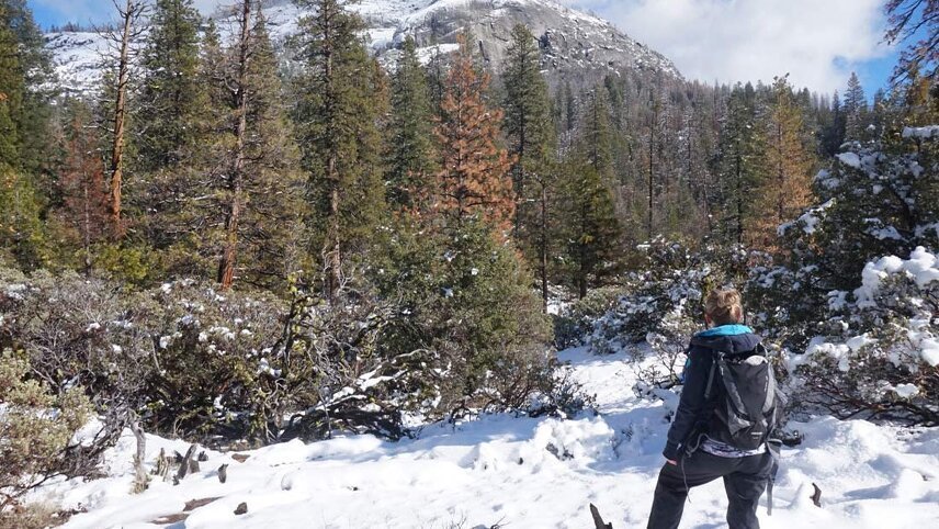 Winter Hiking and Snowshoeing in Yosemite
