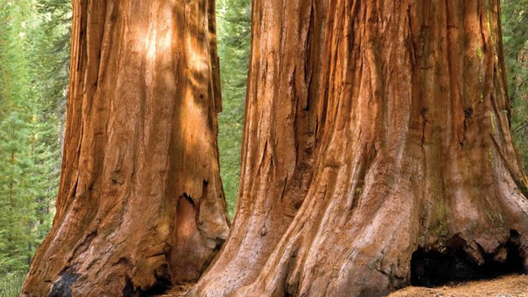 Utah, Nevada & California