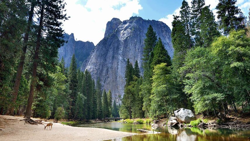 Best Of California's National Parks - Intrepid (7 Days From Las Vegas ...