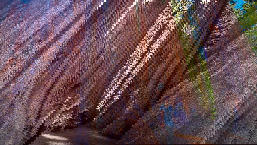 Best of California's National Parks