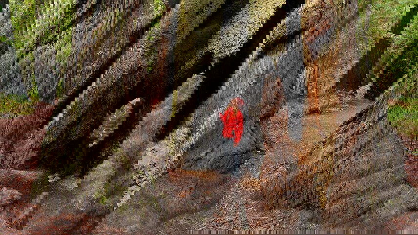 San Francisco to Seattle