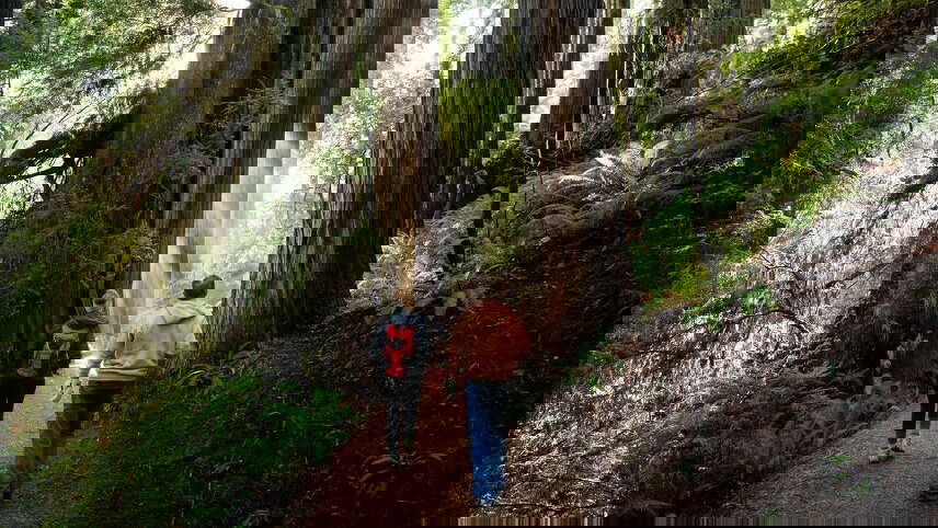 West Coast Discovery