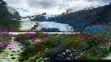 7 Day Alaska Hike, Bike & Kayak (Intrepid)