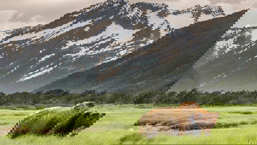 Hiking the Great Land of Alaska