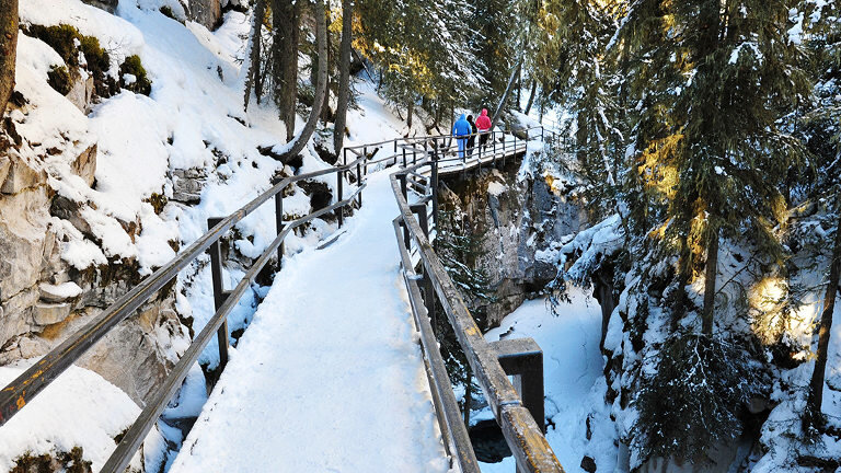 Canadian Rockies & Northern Lights