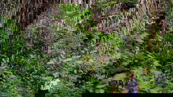 8 Day Vanuatu Expedition (Intrepid)