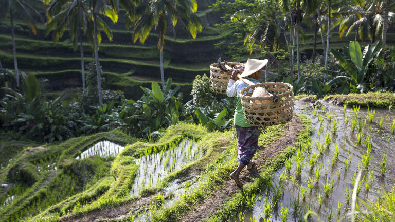 Bali Family Holiday with Teenagers