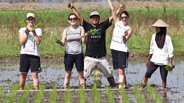 Java & Bali Explorer